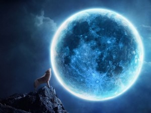 собака воет на луну